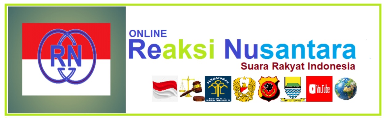 https://reaksinusantara.online